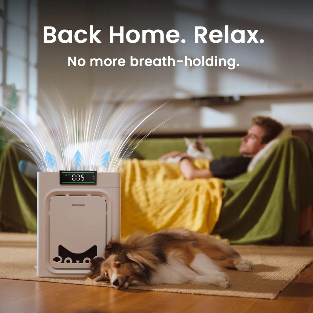 Oneisall Air Purifier for Homes with Pets, Dual-Side Intake