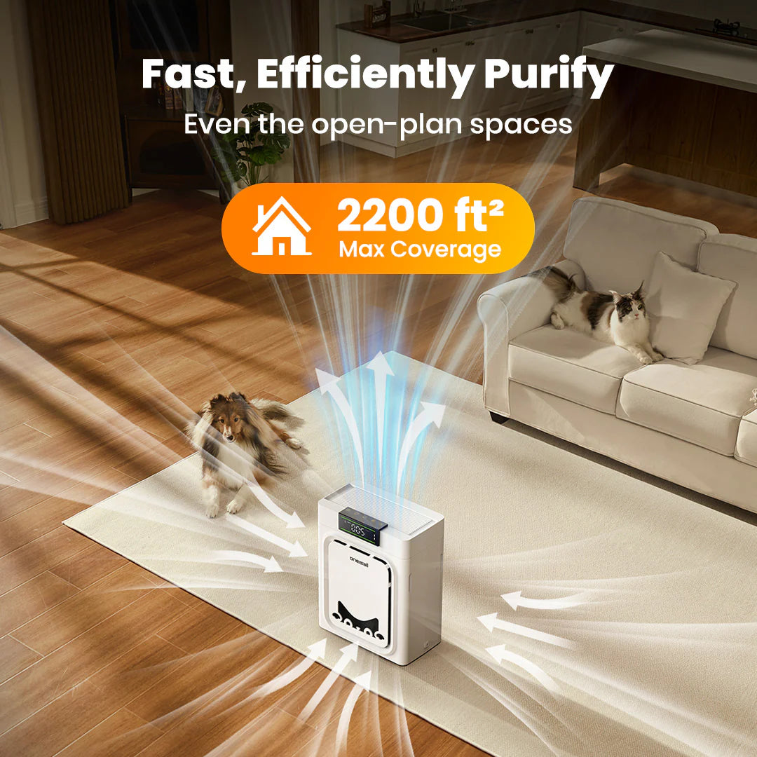 Oneisall Air Purifier for Homes with Pets, Dual-Side Intake